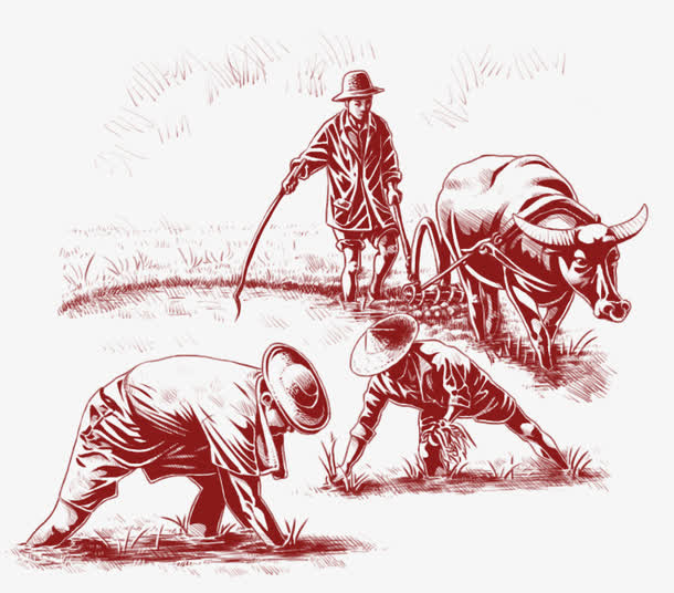 农民免抠