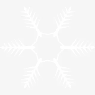 雪花 白色免抠