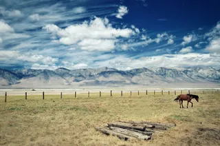 蓝天白云草原草地马免抠