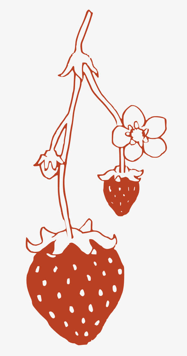 线性手绘草莓免抠