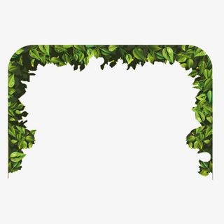 绿叶上边框免抠素材免抠