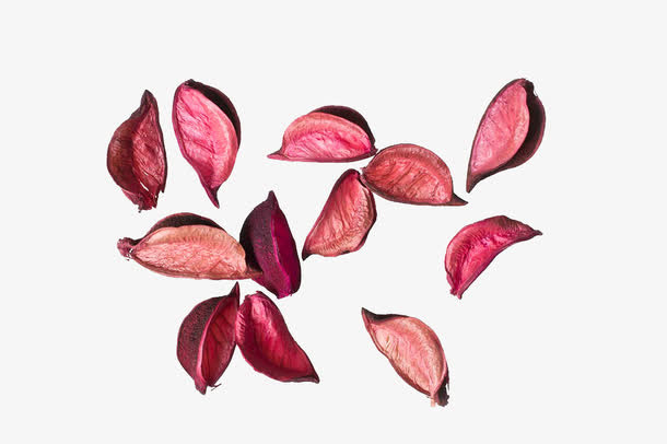 粉色玫瑰干花瓣免抠