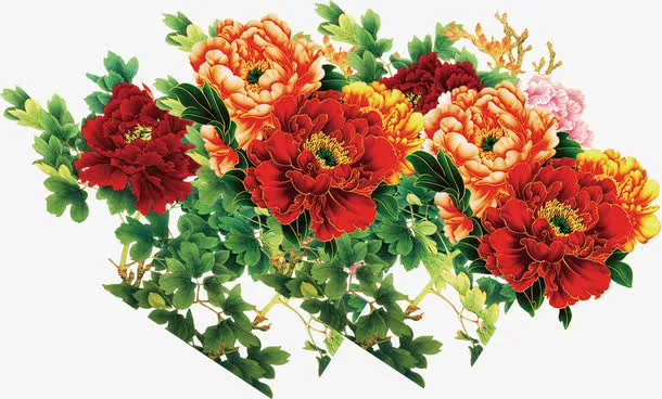 中秋节各色牡丹花朵免抠