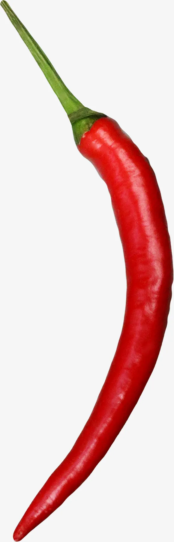 小米辣#素材免抠