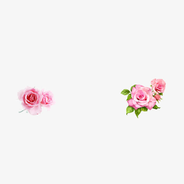 鲜花免抠