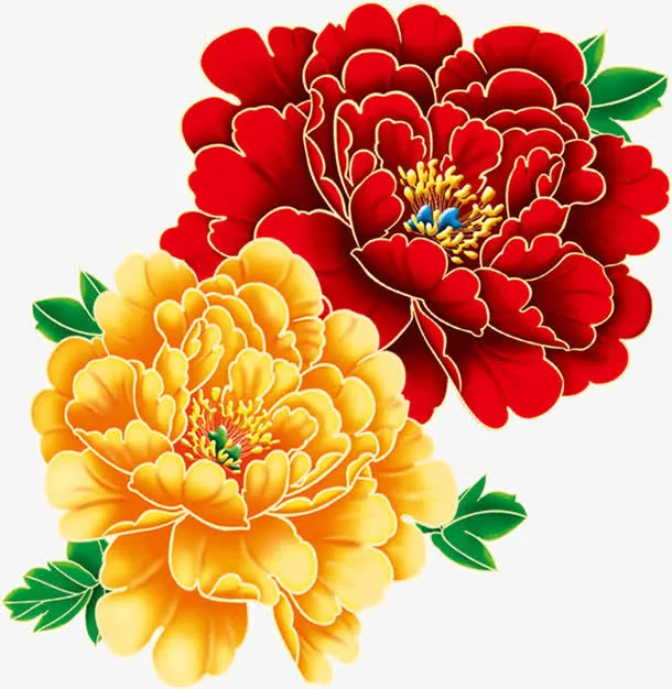 牡丹花免抠