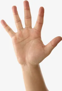 右手手掌伸开免抠