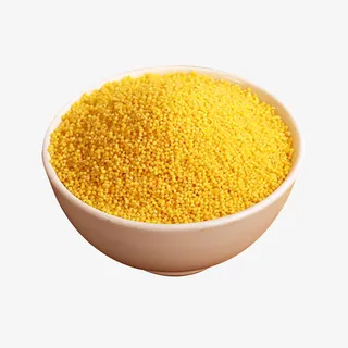 新鲜小米有机小米黄小米东北小米免抠