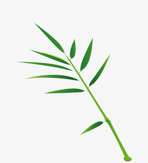 绿色竹叶素材免抠