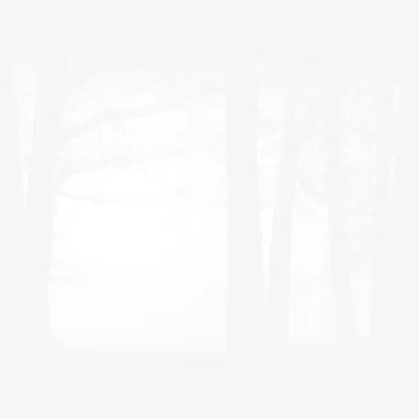 林间透过的阳光免抠