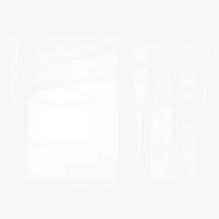 林间透过的阳光免抠