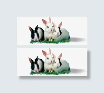 可爱小兔子风光草地免抠