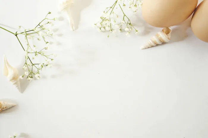 清新简约唯美花卉海报高清