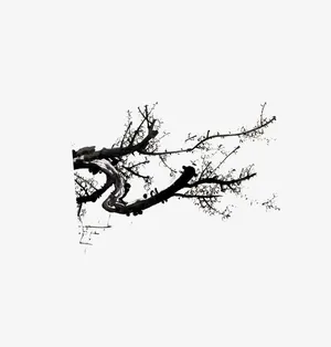 梅花枝头免抠