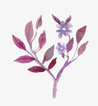 水彩画花与树枝免抠