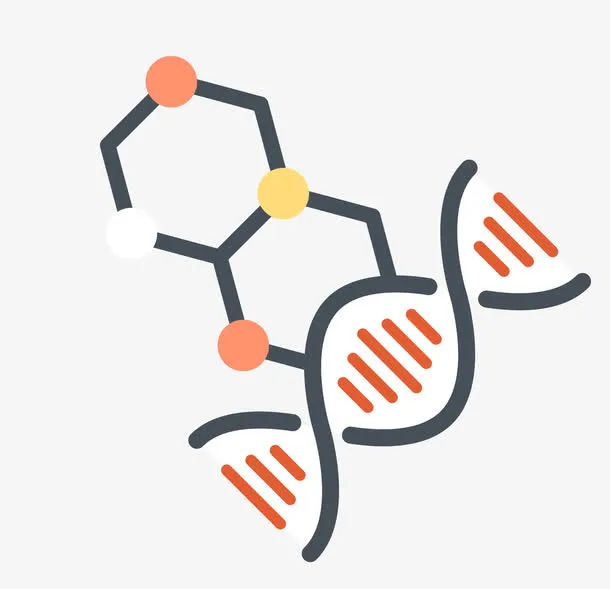 矢量DNA素材免抠