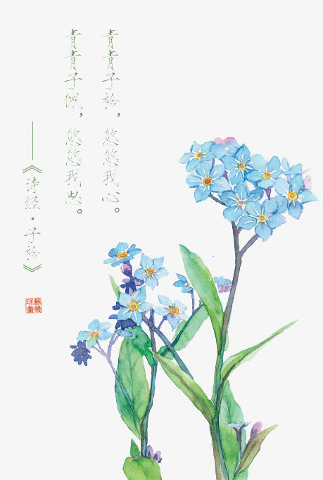 诗经花朵插画配图免抠