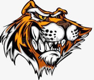 卡通老虎图案免抠