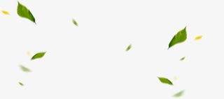 叶子，绿色，淘宝素材，绿叶漂浮免抠