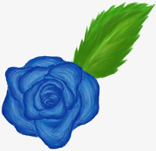 手绘蓝色水彩玫瑰绿叶免抠