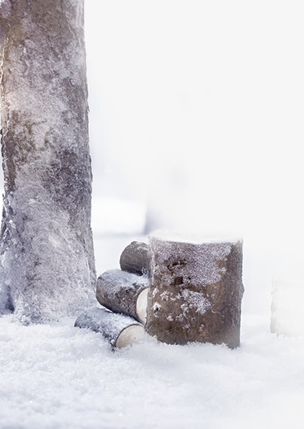 雪景中的树免抠