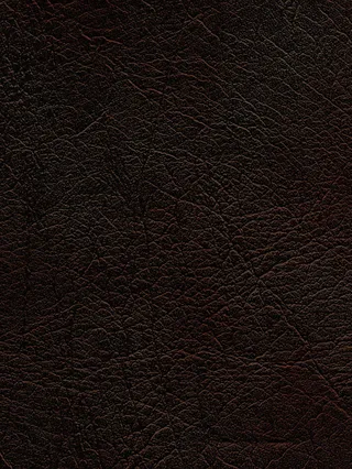 皮质纹理背景图