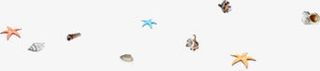海星贝壳沙滩唯美免抠