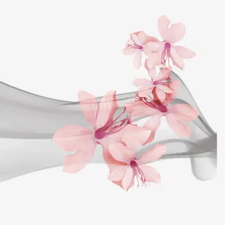 杏花水元素免抠