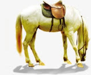 双十二白龙马主页装修免抠