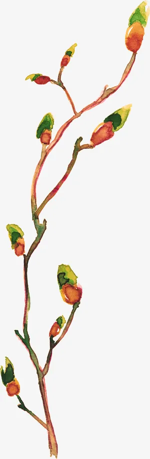 树枝上的花朵免抠