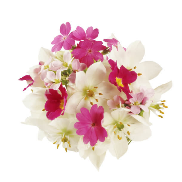 粉色白色小花花束免抠