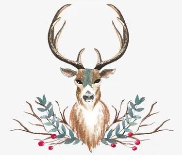 麋鹿头装饰画免抠