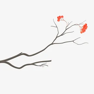 好看的花，卡通， 树枝免抠