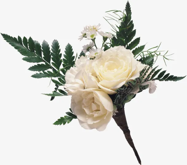 三朵玫瑰花免抠