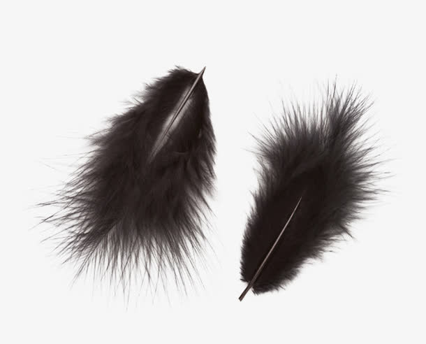 黑色的羽毛苏祠图片免抠