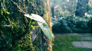 风景,素材,背景,PNG高清
