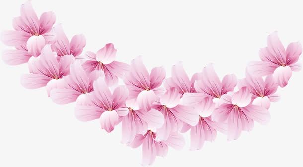 粉色内裤花瓣医院免抠