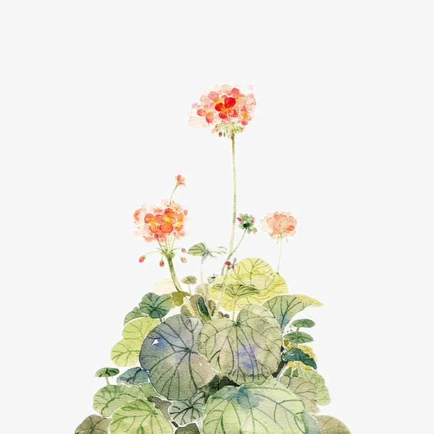 古风荷花免抠