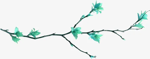 手绘绿叶枝叶藤蔓装饰免抠