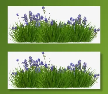 薰衣草从免抠装饰植物元素