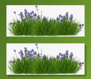 薰衣草从免抠装饰植物元素