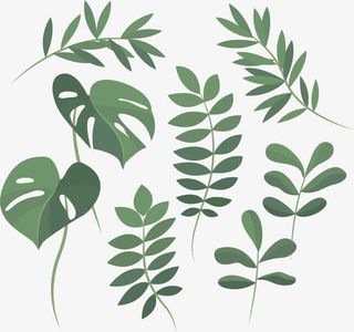 春天的树叶免抠