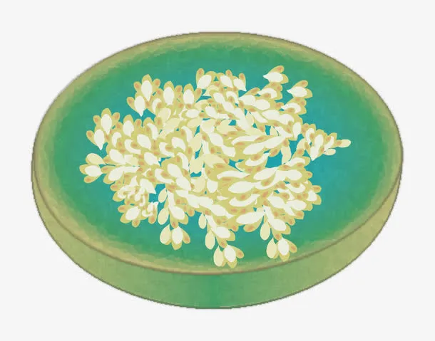 一碟金桂花瓣矢量免抠