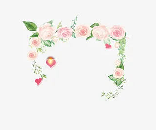 漂亮的花帘PNG免抠