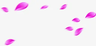 紫色花瓣飘落免抠