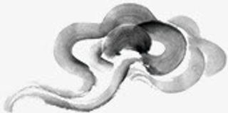 中国风水墨简单线条清新流云免抠