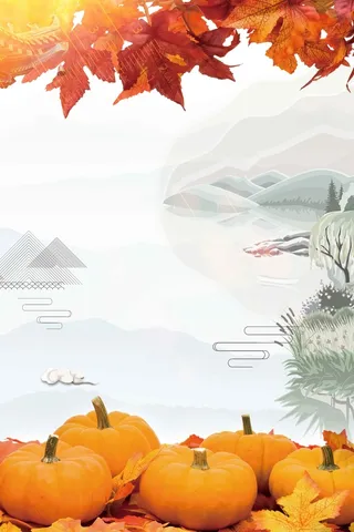 中国风南瓜美食蔬菜宣传高清