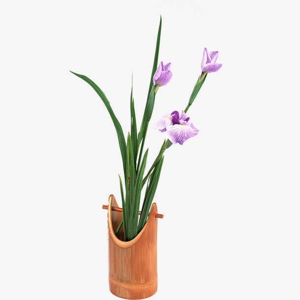 花瓶免抠