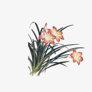 卡通手绘中国风植物花草免抠