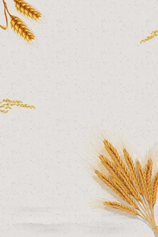 五谷杂粮中国风海报背景高清另类其他背景